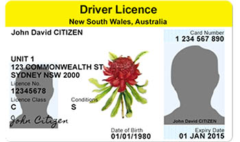 Front of Driver's License